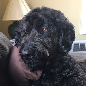 Meet your Posher, Janice